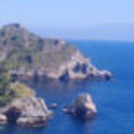 Cafe Blue Marine